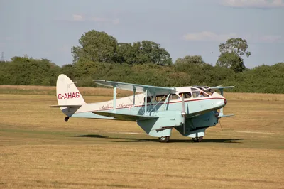 Vintage biplane on a sunny grass airfield, capturing the historic spirit of Katama Airpark