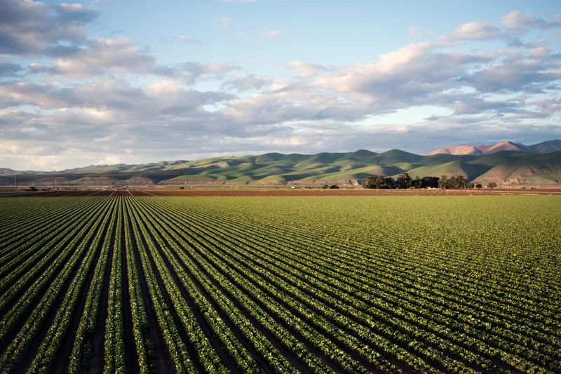 Harris Ranch Airport — Coalinga, CA