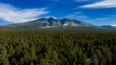 Aerial view of the San Francisco Peaks and Coconino National Forest near Flagstaff, Arizona.