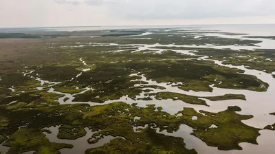 Aerial view of lush wetlands and waterways at Moss Point near Pascagoula, Mississippi