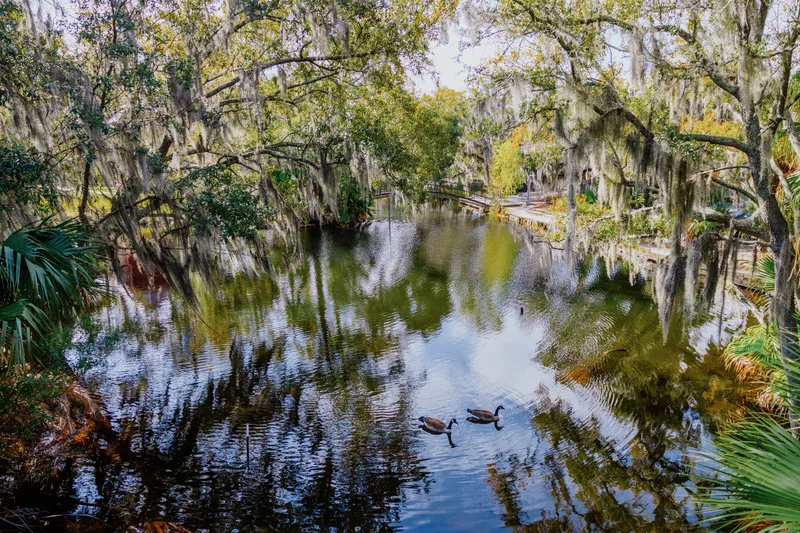 Gulf South