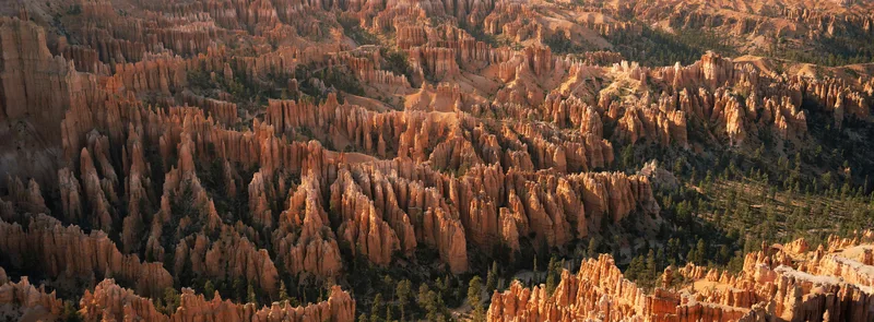 Southwest