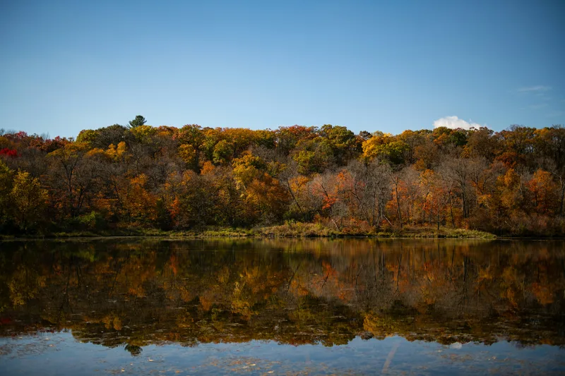 Upper Midwest